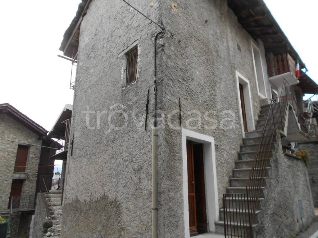 immagine annuncio 1 di 14