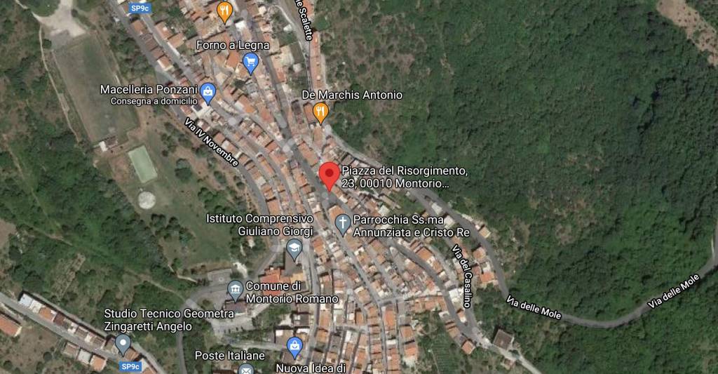 immagine annuncio 10 di 11