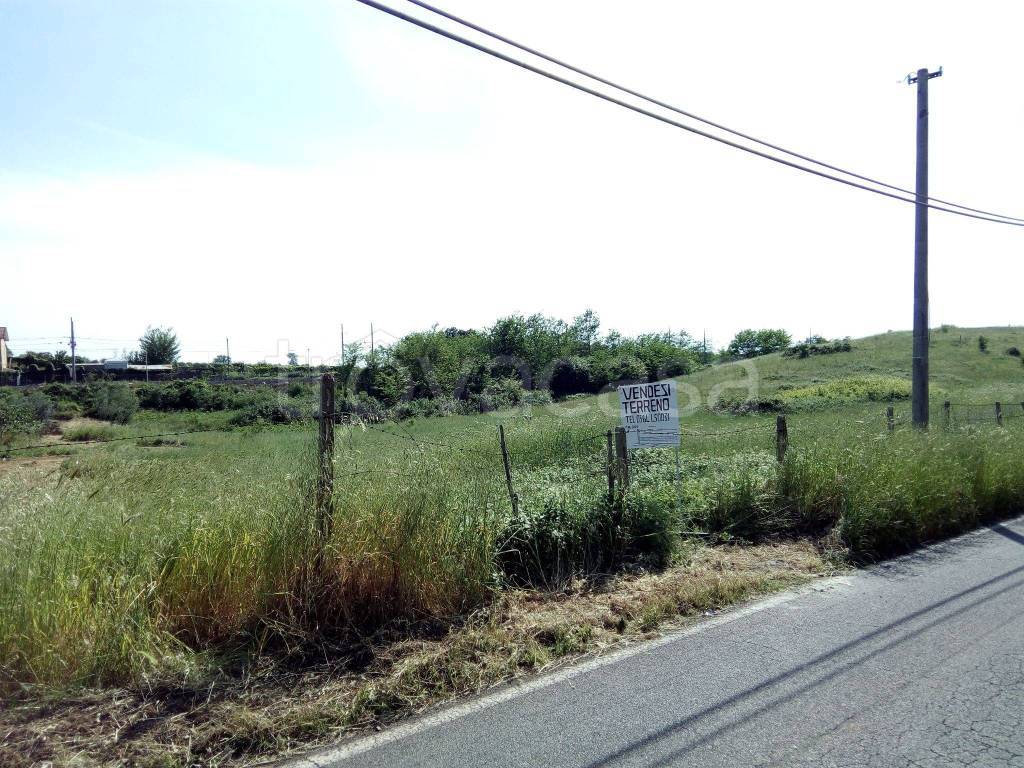 Terreno Agricolo in vendita ad Aprilia via Campoleone Tenuta