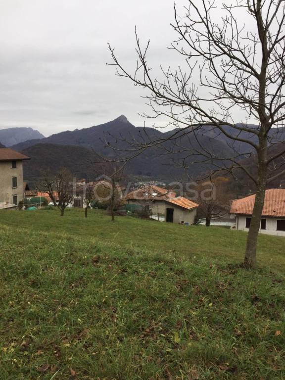 immagine annuncio 4 di 8