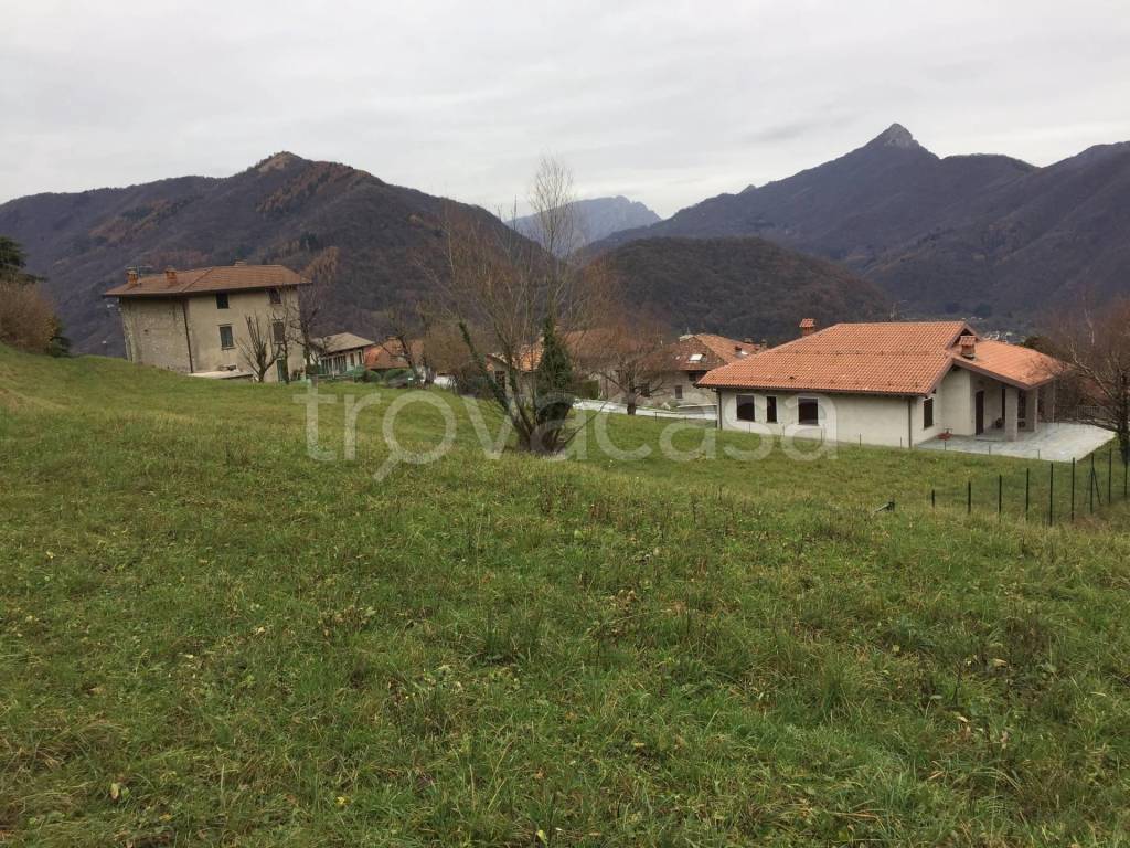 immagine annuncio 5 di 8