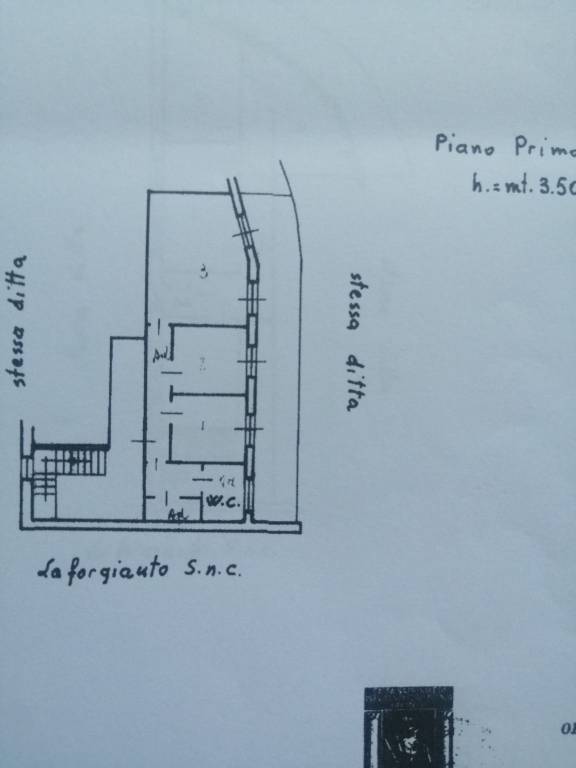 immagine annuncio 3 di 6