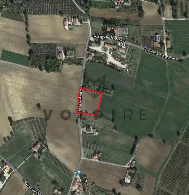 Terreno Agricolo in vendita a Montefalco case Monteverdi