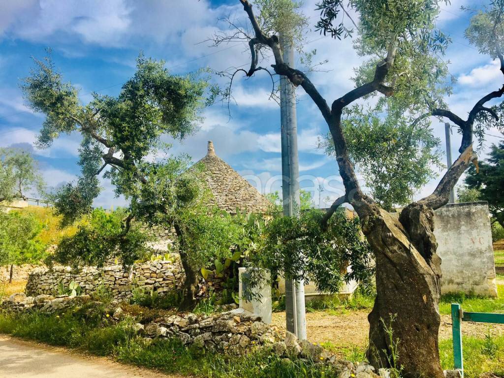 immagine annuncio 2 di 14