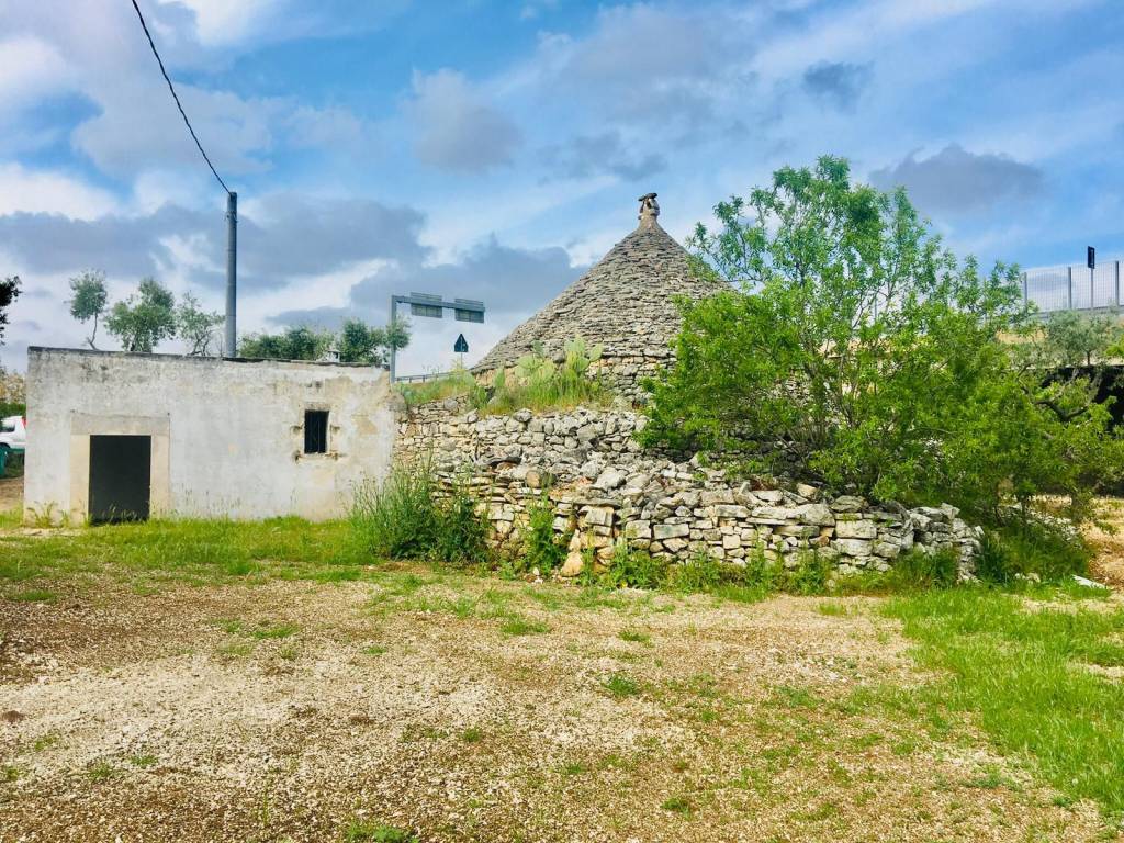 immagine annuncio 5 di 14