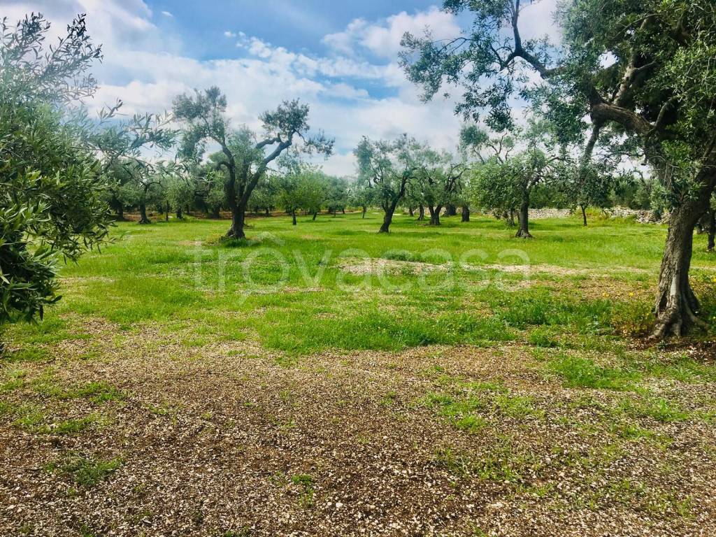 immagine annuncio 6 di 14