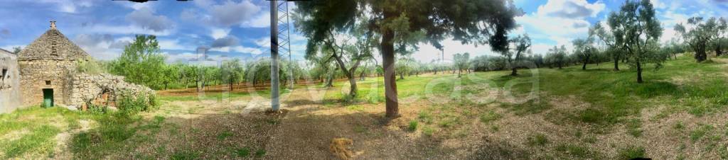 immagine annuncio 7 di 14