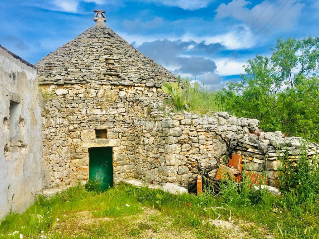 immagine annuncio 8 di 14