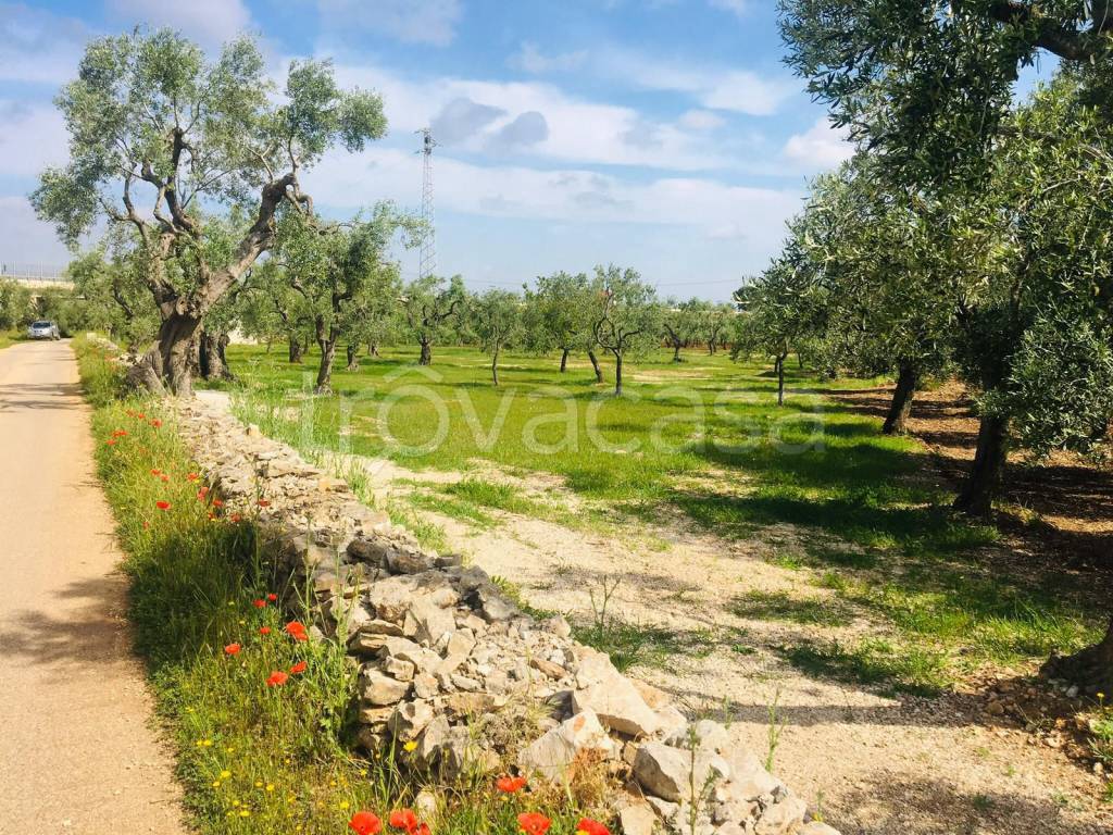 immagine annuncio 12 di 14