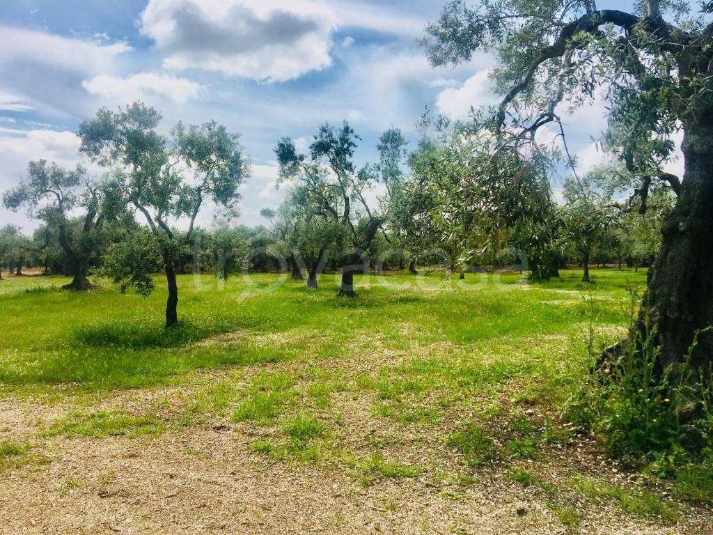 immagine annuncio 13 di 14