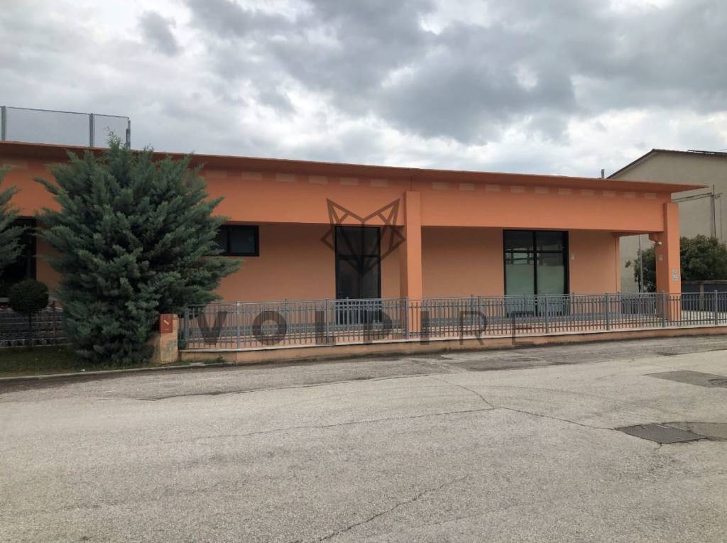 immagine annuncio 4 di 6