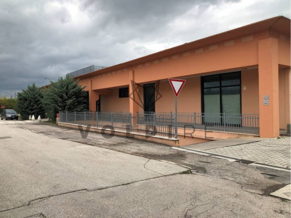 immagine annuncio 3 di 6