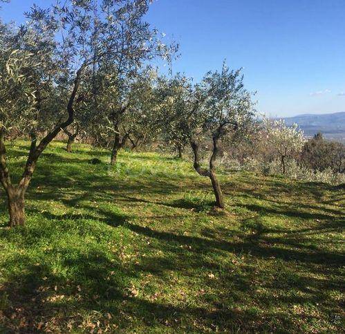 Terreno Agricolo in vendita a Lamezia Terme contrada Crozzano