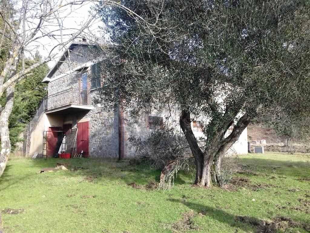 Azienda Agricola in vendita a Castiglione d'Orcia