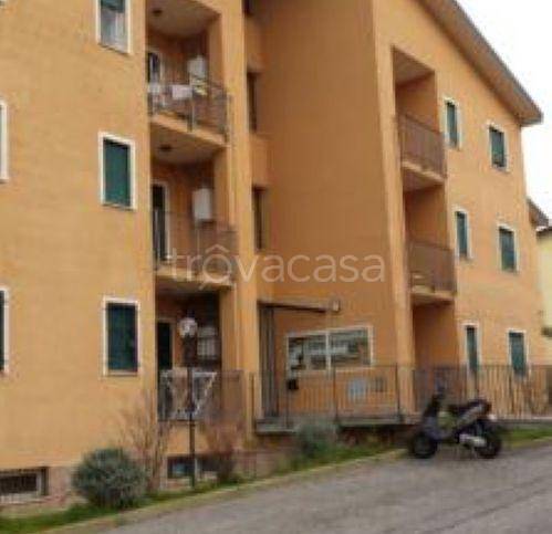 immagine annuncio 6 di 7