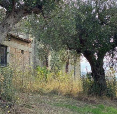 Terreno Residenziale in vendita a Castiglione Cosentino contrada Capitano