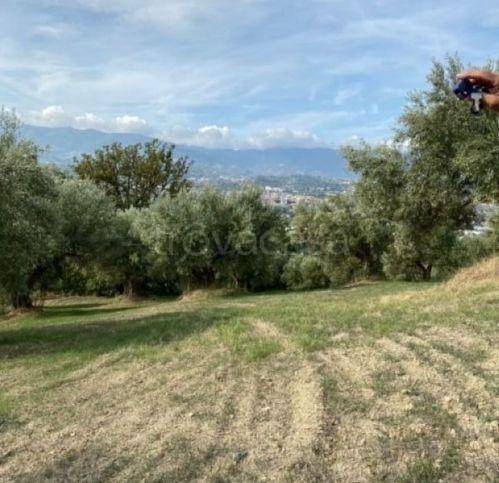immagine annuncio 5 di 12
