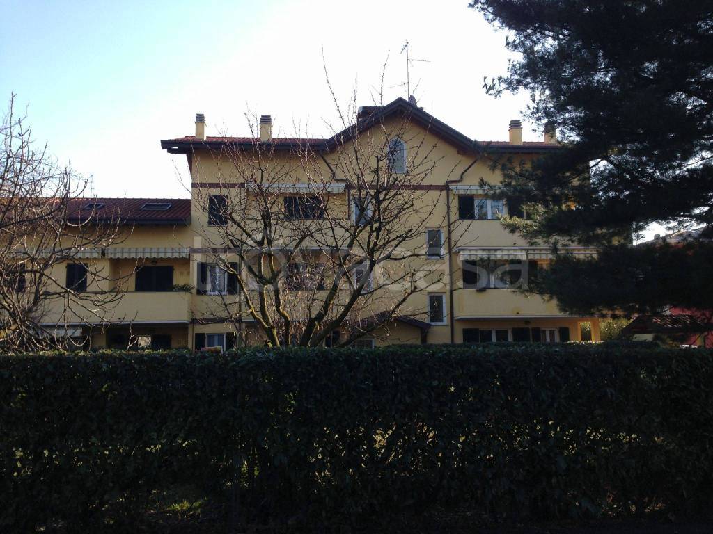 Appartamento in in affitto da privato a Cardano al Campo via Guglielmo Oberdan, 12