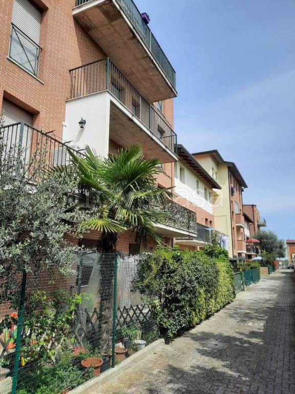 Appartamento in in vendita da privato a Massa Lombarda viale Giulio Zaganelli, 49