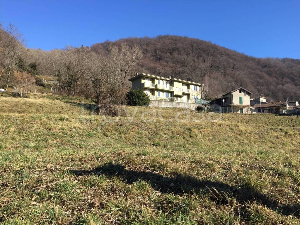 immagine annuncio 7 di 8