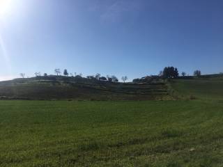 Terreno agricolo in vendita a campofelice di fitalia c.da puzzo