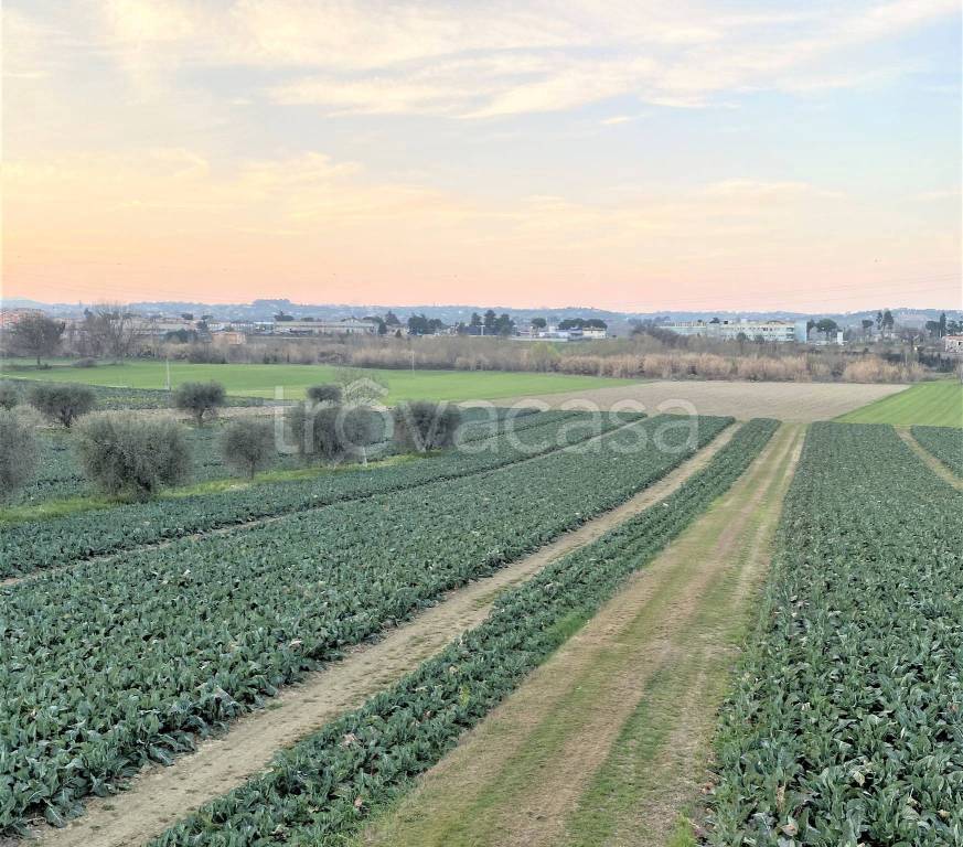 Terreno Agricolo in vendita ad Alba Adriatica via del Vecchio Forte, 48