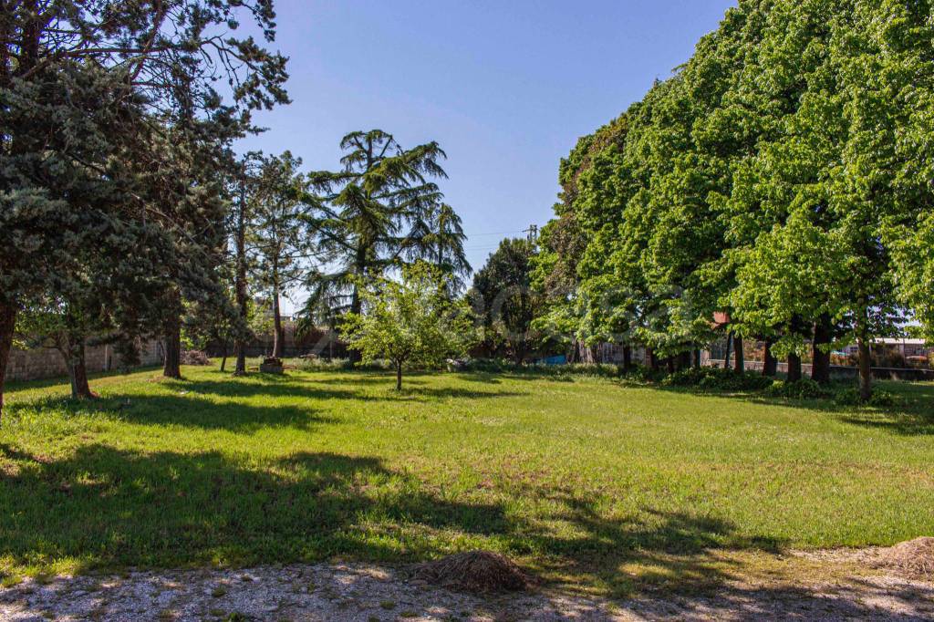 immagine annuncio 7 di 12