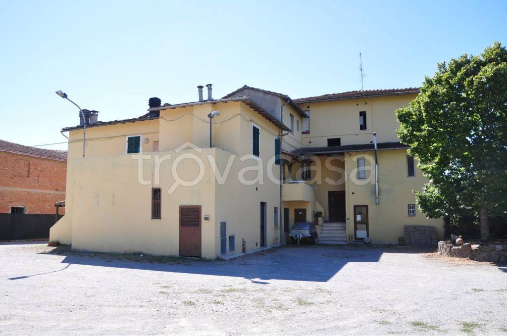 immagine annuncio 3 di 7