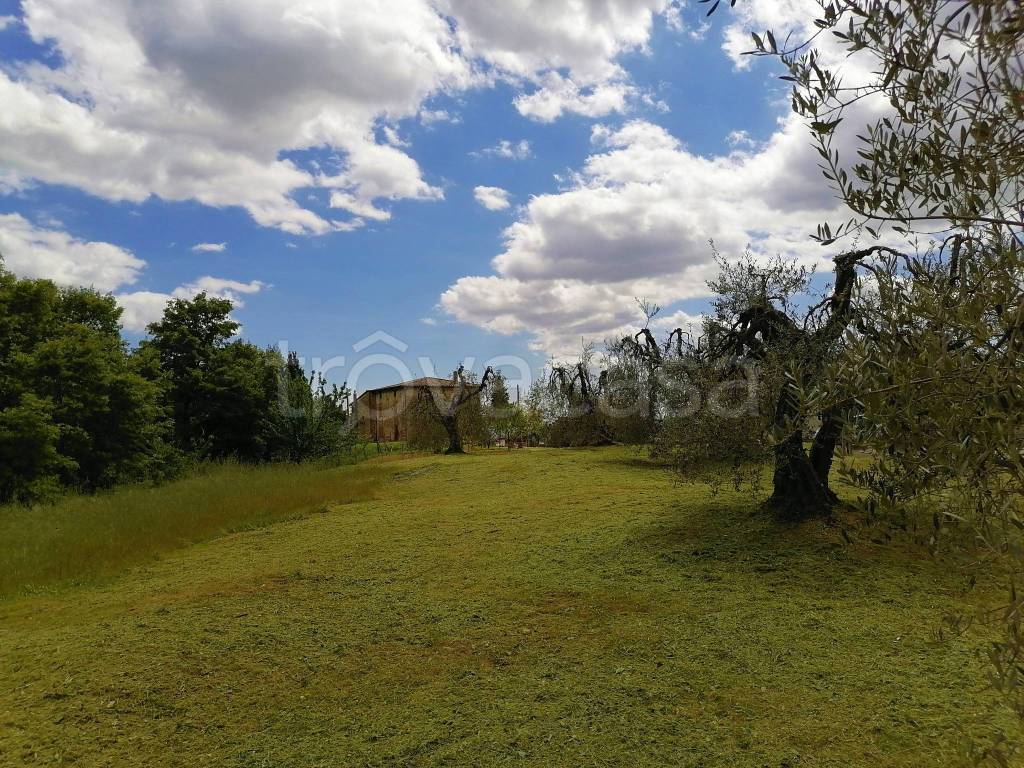Terreno Residenziale in vendita a Monteleone d'Orvieto località Colle