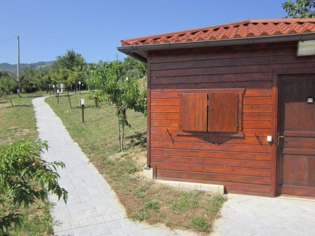 immagine annuncio 7 di 15