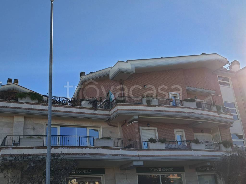 immagine annuncio 4 di 12