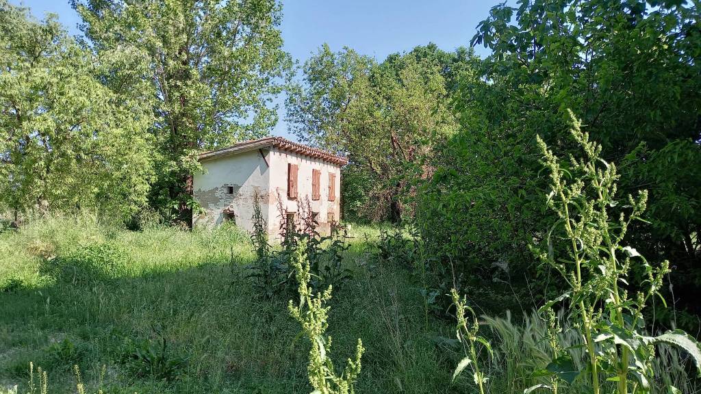 immagine annuncio 7 di 8