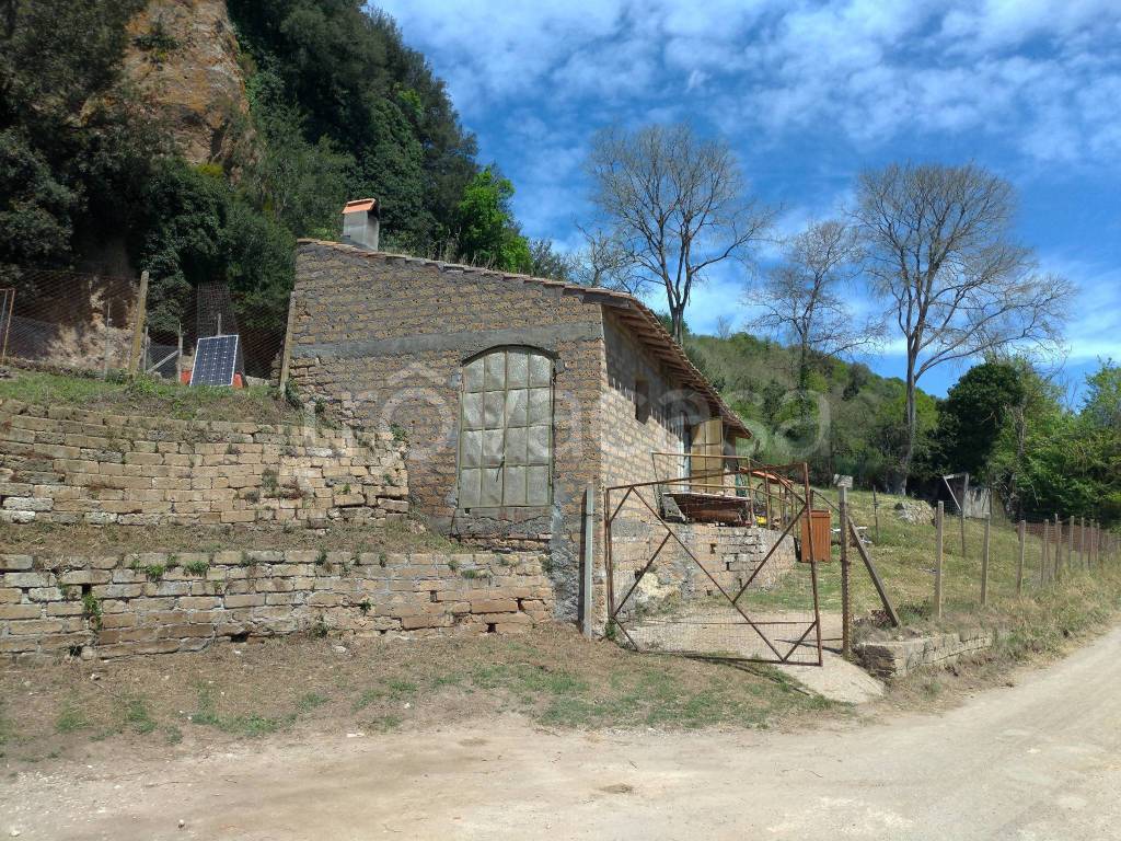 immagine annuncio 3 di 7