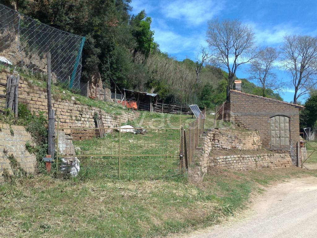 immagine annuncio 4 di 7