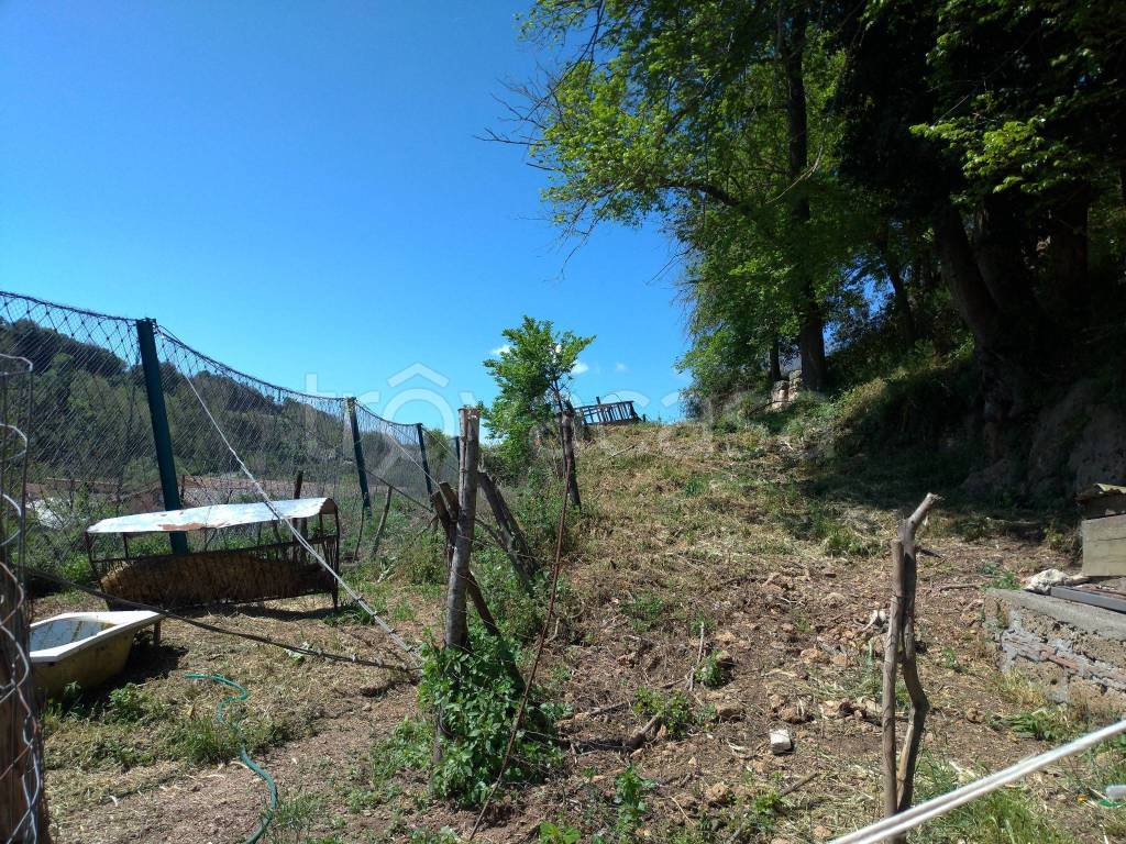 immagine annuncio 5 di 7