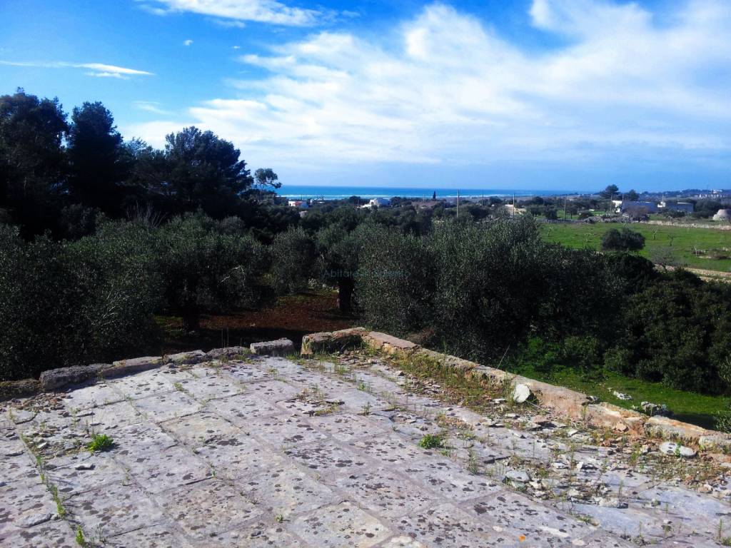 immagine annuncio 3 di 7
