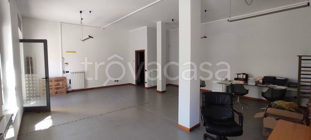 immagine annuncio 7 di 13