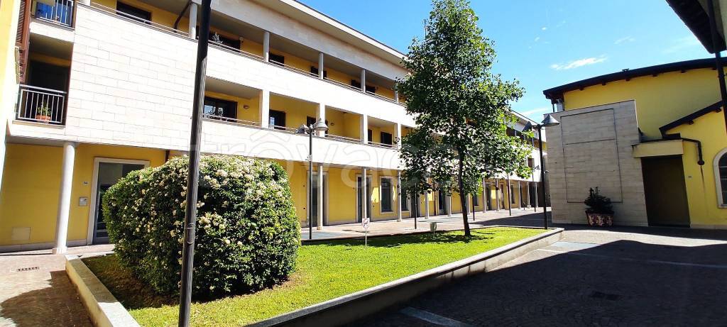 immagine annuncio 12 di 13