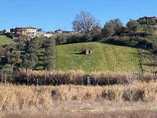 Terreno agricolo in vendita a monterotondo via della dogana