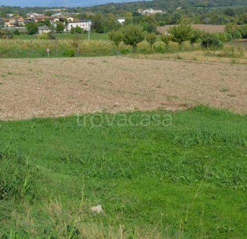immagine annuncio 1 di 2
