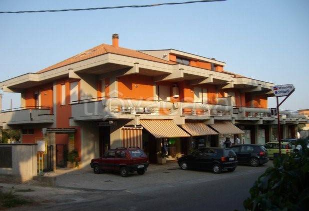 immagine annuncio 6 di 8