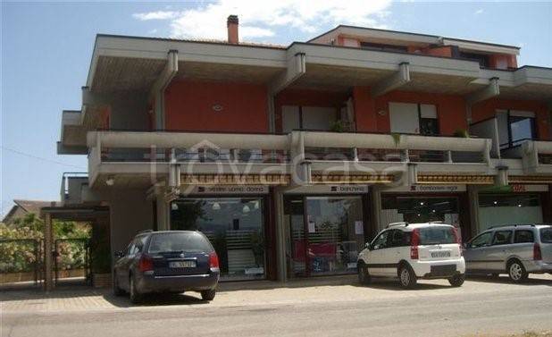 immagine annuncio 3 di 9