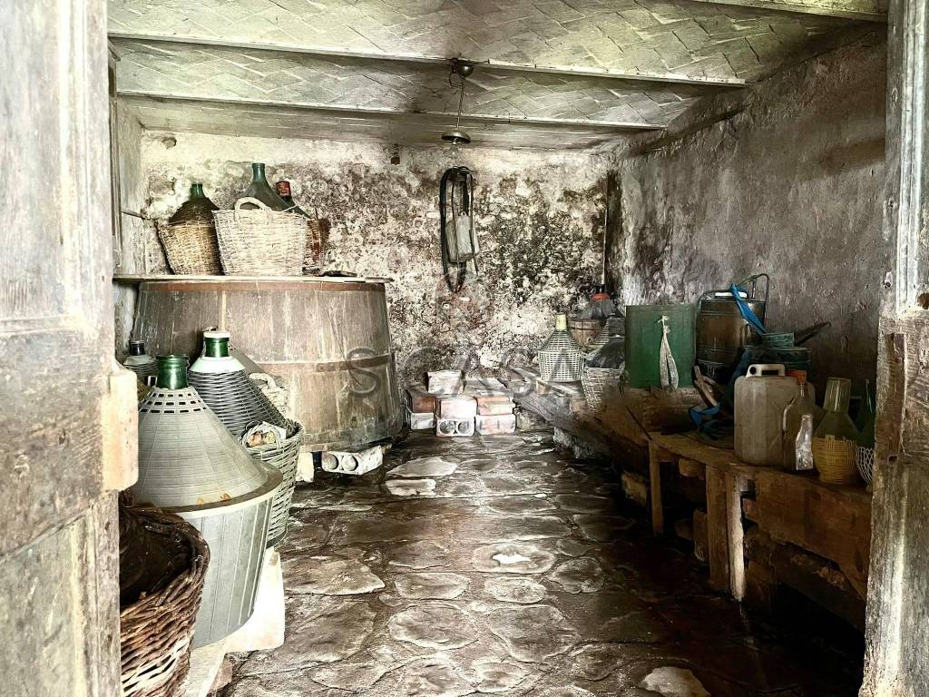 immagine annuncio 13 di 14