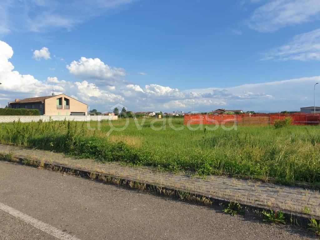 immagine annuncio 5 di 7