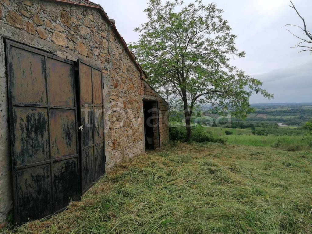 immagine annuncio 4 di 14
