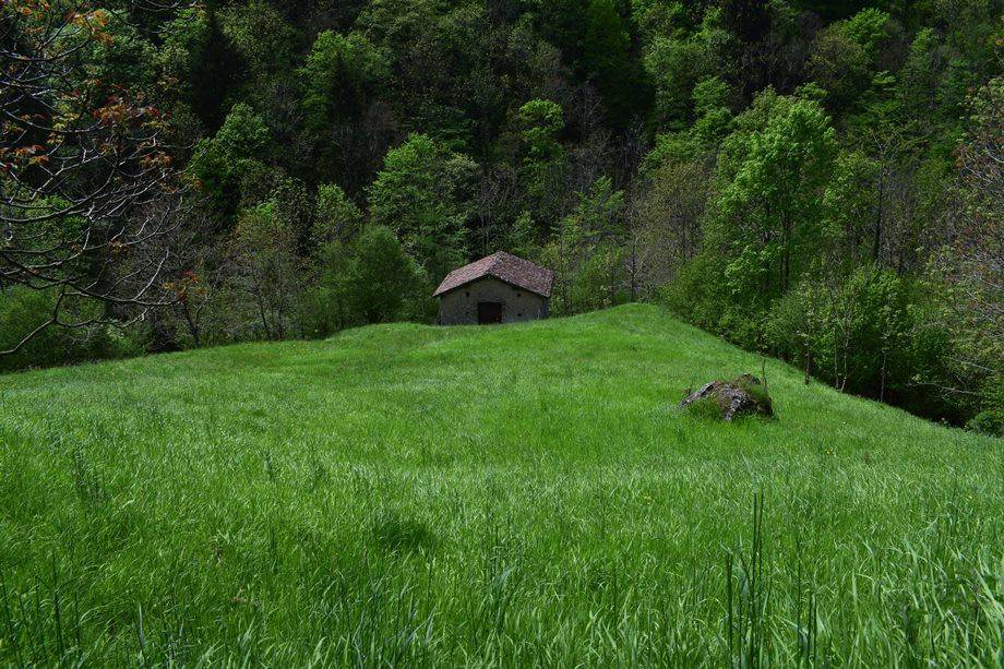 immagine annuncio 7 di 13