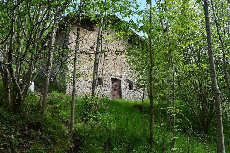 immagine annuncio 1 di 13