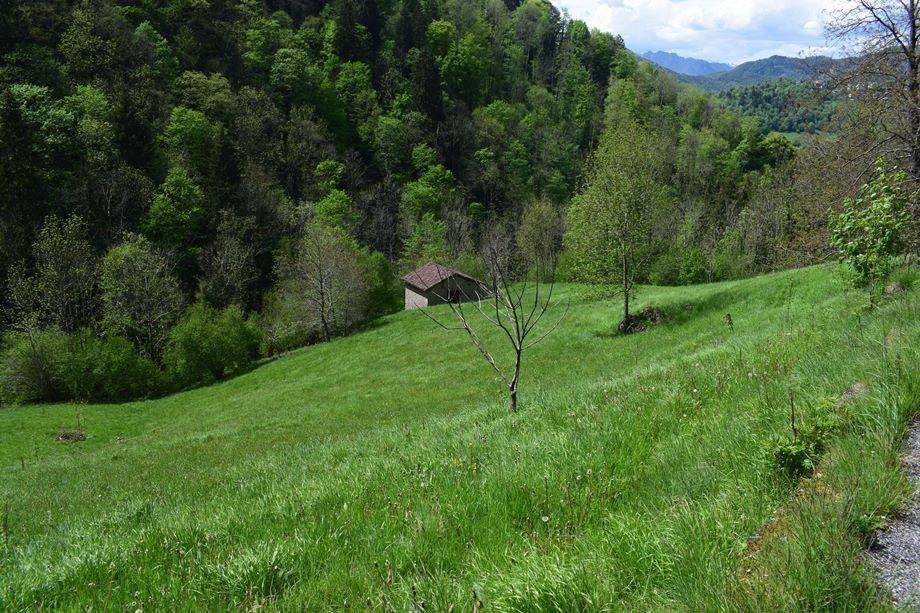 immagine annuncio 8 di 13