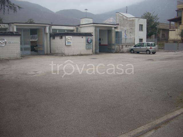 immagine annuncio 6 di 7