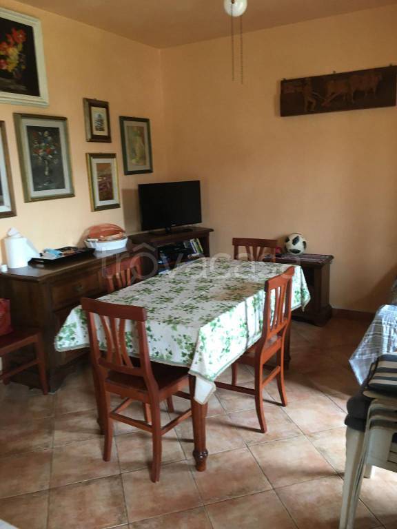 immagine annuncio 5 di 12